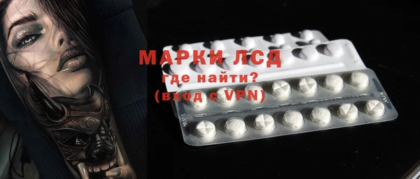 шишки Пересвет