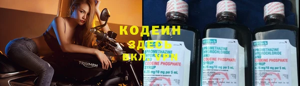 прущий лед Абаза