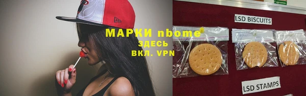 прущий лед Абаза