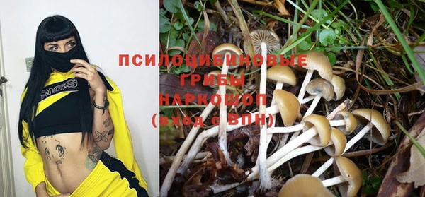 прущий лед Абаза