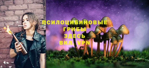 не бодяженный Абдулино